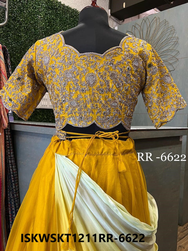 Embroidered Organza Skirt Attached With Chinon Drape And Dola Silk Blouse-ISKWSKT1211RR-6622