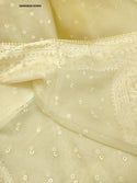 Embroidered Organza Silk Saree With Blouse-ISKWSR28103904